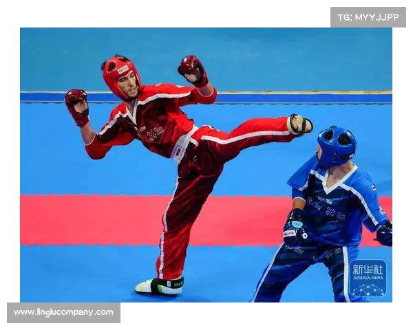 2016搏击赛事_2020年搏击冠军 2016搏击赛事_2020年搏击冠军