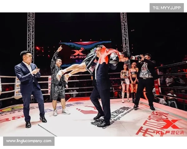 19年东北搏击赛事视频