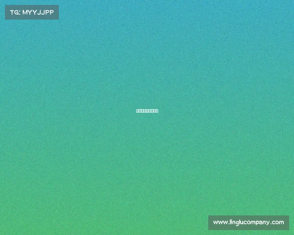 韩城篮球赛人员名单