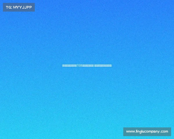 世界杯摩洛哥赛事—砸158亿美元申办世界杯 摩洛哥提交一份球场再利用